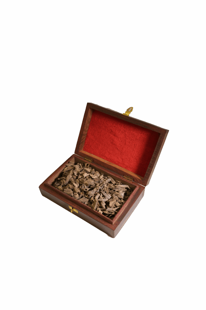 indian-oud-mori