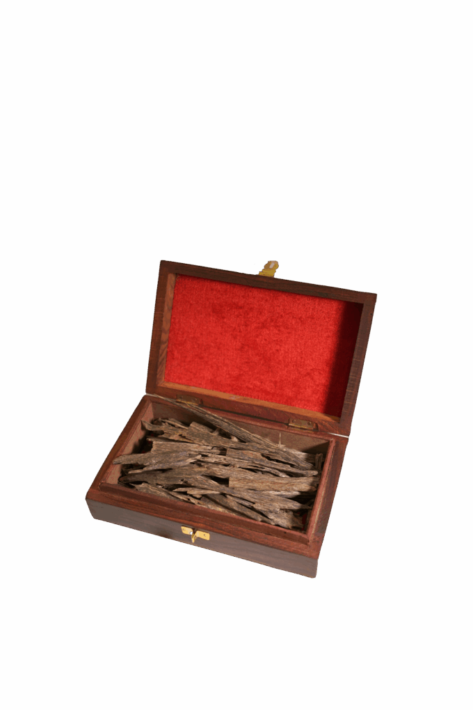 indian-oud-sala-jumbo