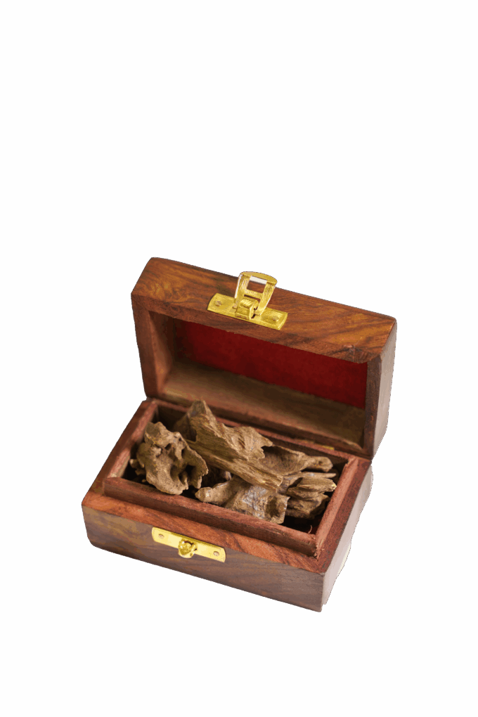 malaysian-oud