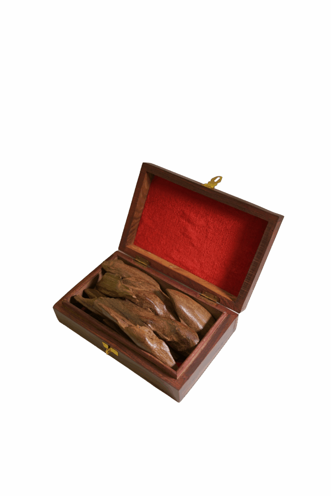 moroccan-oud-kinami